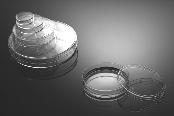 Cell Culture Dishes