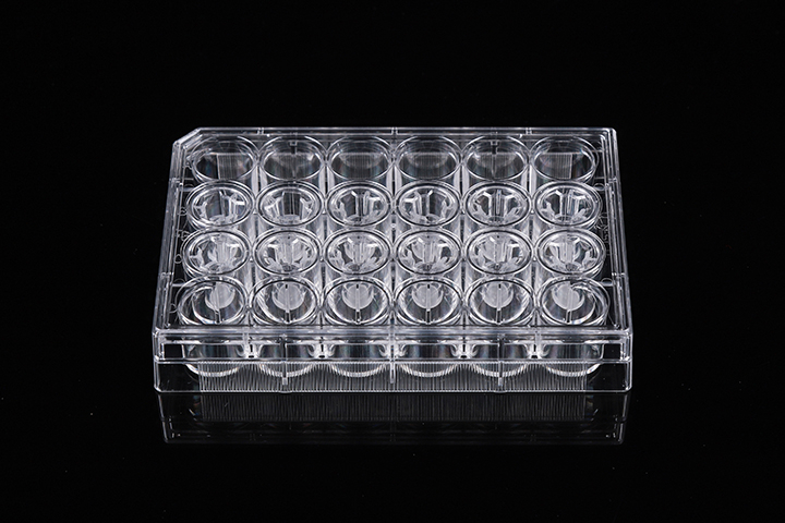 Cell Culture Inserts