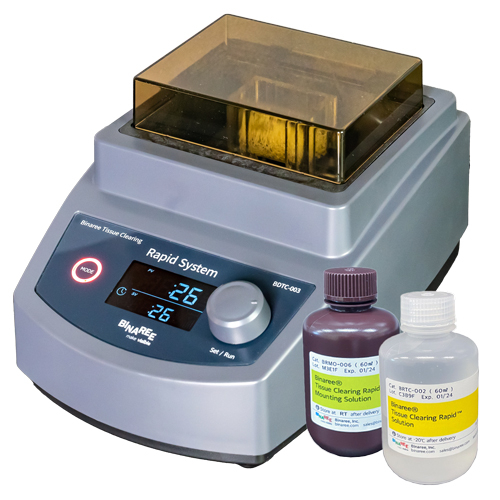 Tissue Clearing & 3D Imaging
